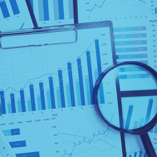 2focusinfo-recolha-dados