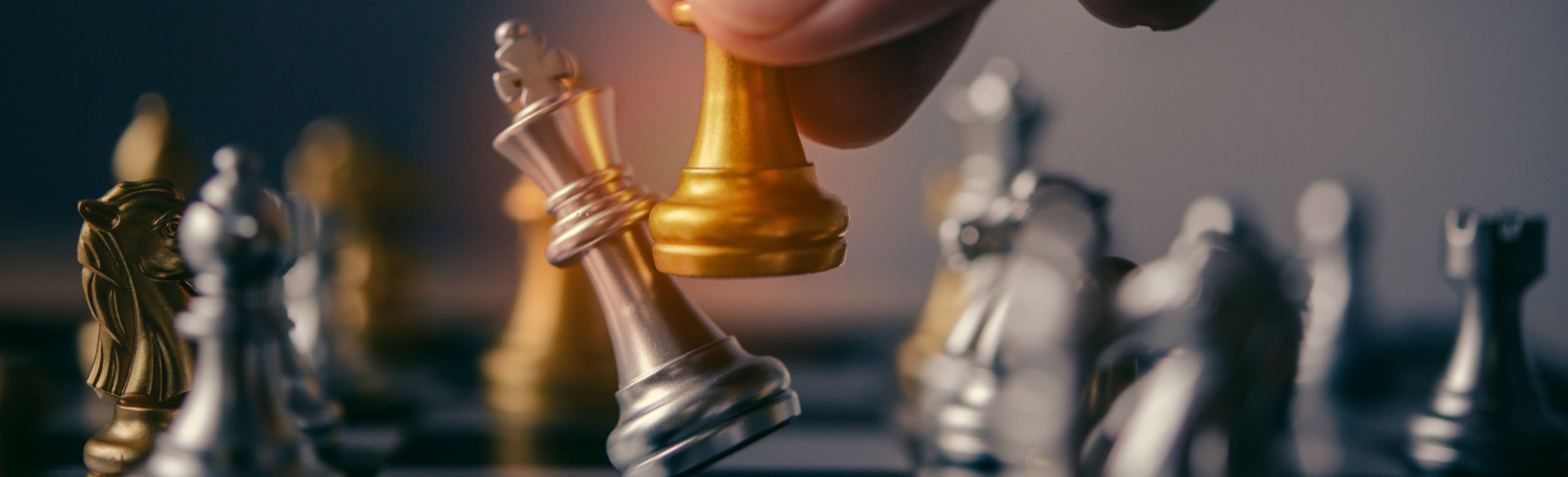 2focusplus estrategia empresarial plano de negócios