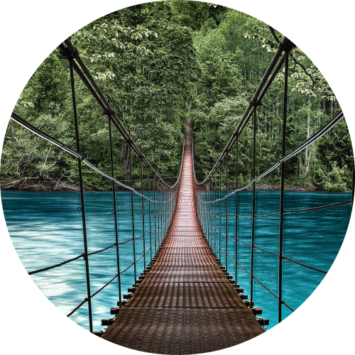 2focusplus estrategia empresarial ponte a atravessar rio
